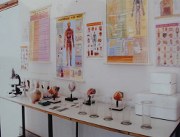 Firehouse chloe club fishtank